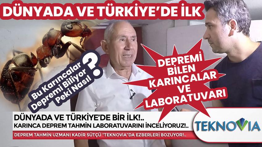 Dünya'da ve Türkiye'de İlk Karınca Deprem Tahmin İstasyonu