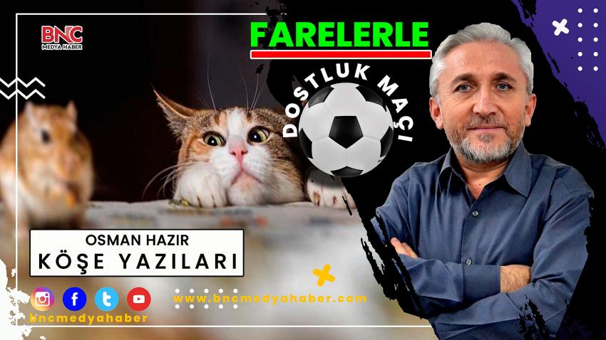 Farelerle Dostluk Maçı