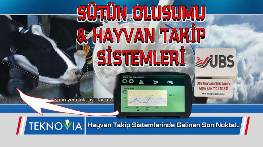 Üretimden Sofralara Süt Üretimi ve Hayvan Takip Sistemleri - UBS Hayvancılık - Teknovia 93. Bölüm