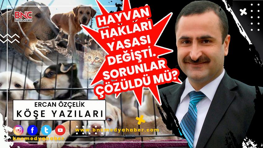 Hayvan Hakları Yasası Değişti. Sorunlar Çözüldü mü?