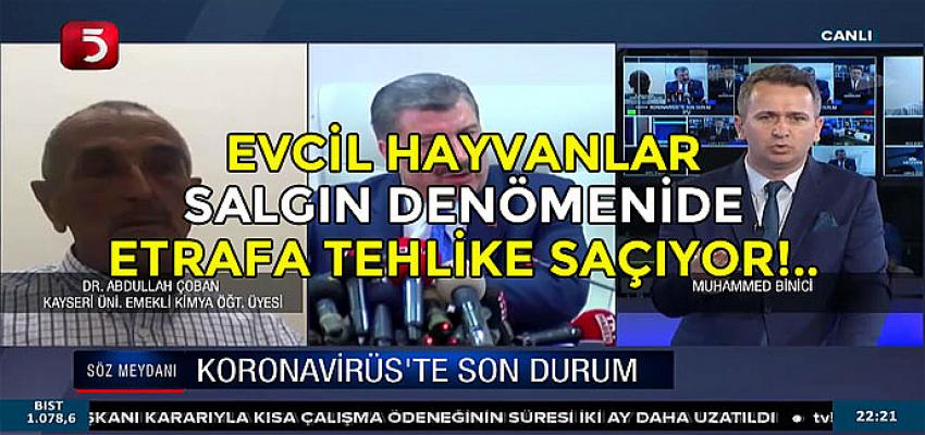  Evcil Hayvanlar Salgın Döneminde Etrafa Tehlike Saçıyor!  İşte Önlemi!..