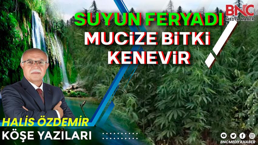 Suyun Feryadı Suyun Düşmanları! Su Hayattır ve Mucize Bitki Kenevir