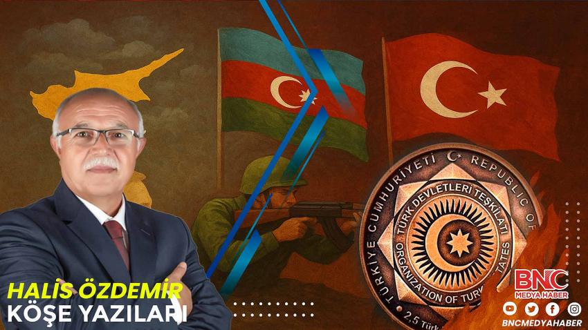 TÜRK DEVLETLERİ TEŞKİLATI