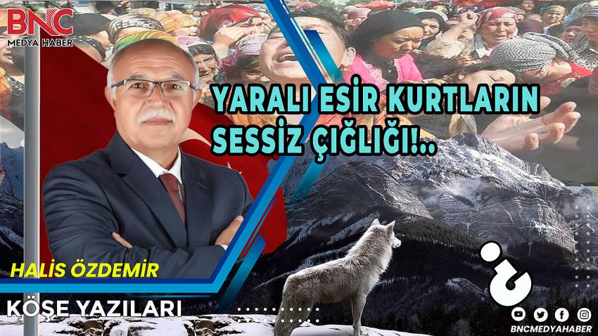 Yaralı Esir Kurtların Sessiz Çığlığı