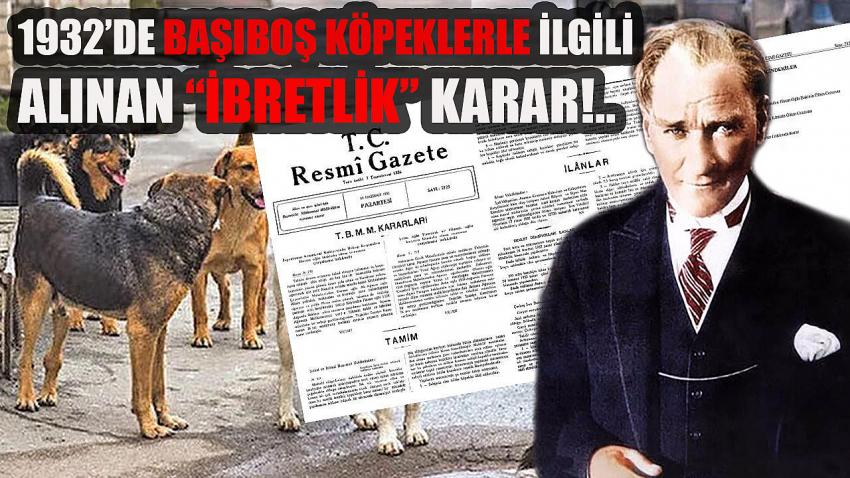 1932'de Başıboş Köpeklerle İlgili Alınan İbretlik TBMM Kararı