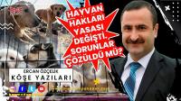 Hayvan Hakları Yasası Değişti. Sorunlar Çözüldü mü?