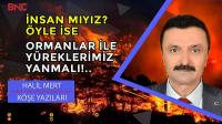 İnsan mıyız? Öyleyse ormanlarla yüreklerimiz yanmalı..