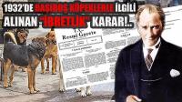 1932'de Başıboş Köpeklerle İlgili Alınan İbretlik TBMM Kararı