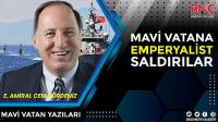 Mavi Vatana emperyalist saldırılar