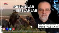 Arslanlar ve Sırtlanlar