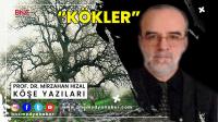 Kökler