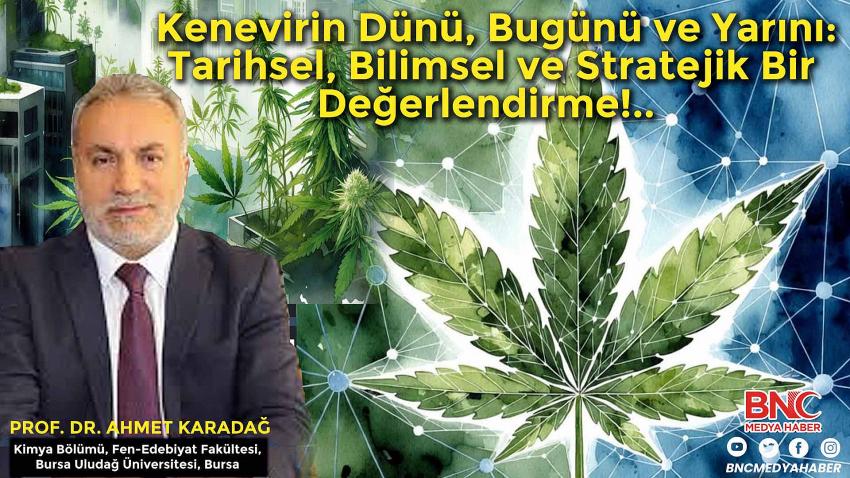Kenevirin Dünü, Bugünü ve Yarını: Tarihsel, Bilimsel ve Stratejik Bir Değerlendirme